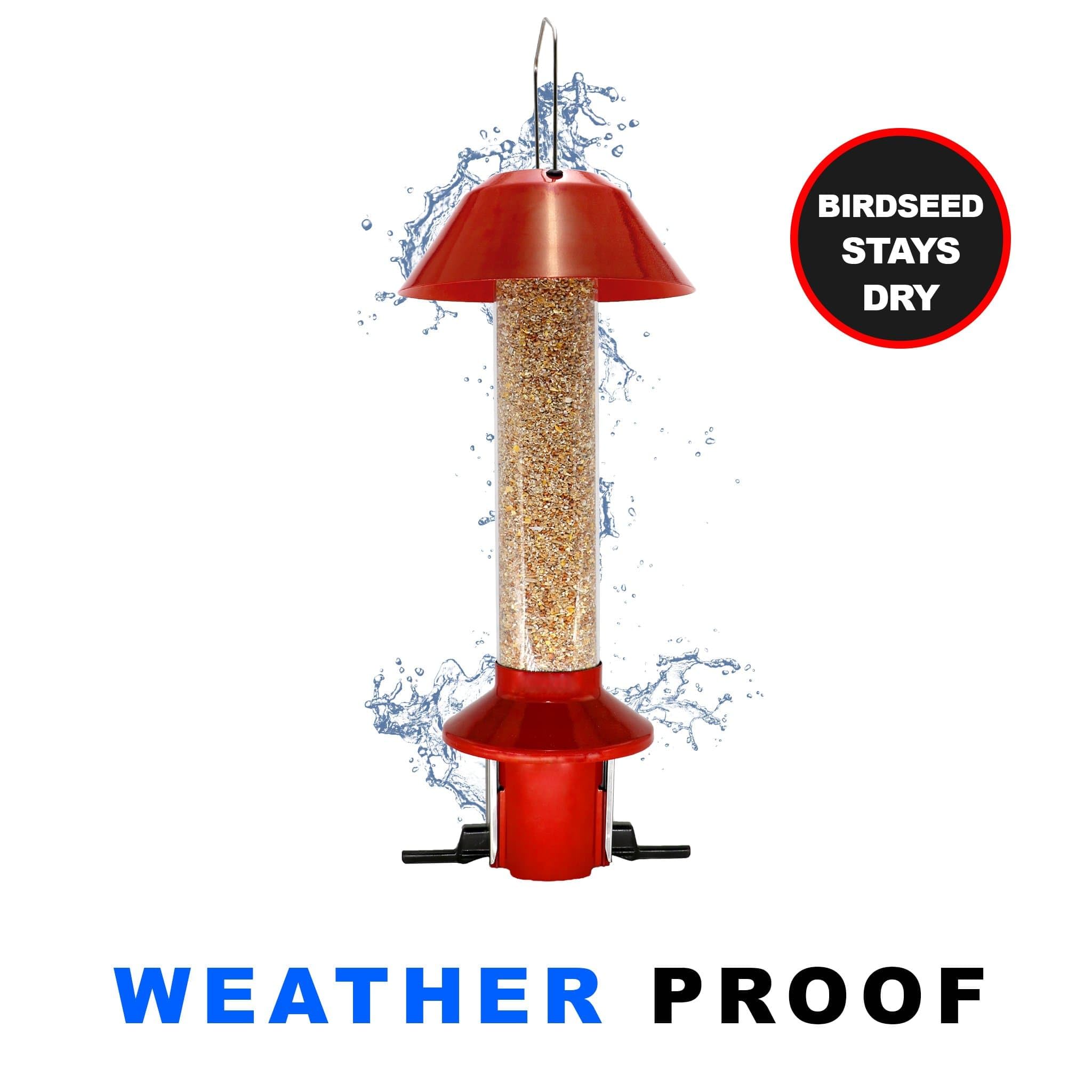 Roamwild clear seed tube and rain guard close-up showing weather protection benefit