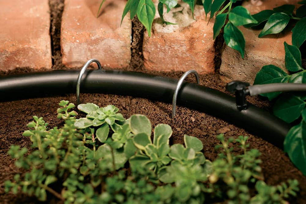 Rocky Mountain Goods line installed in garden bed delivering targeted plant watering