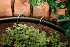 Rocky Mountain Goods line installed in garden bed delivering targeted plant watering