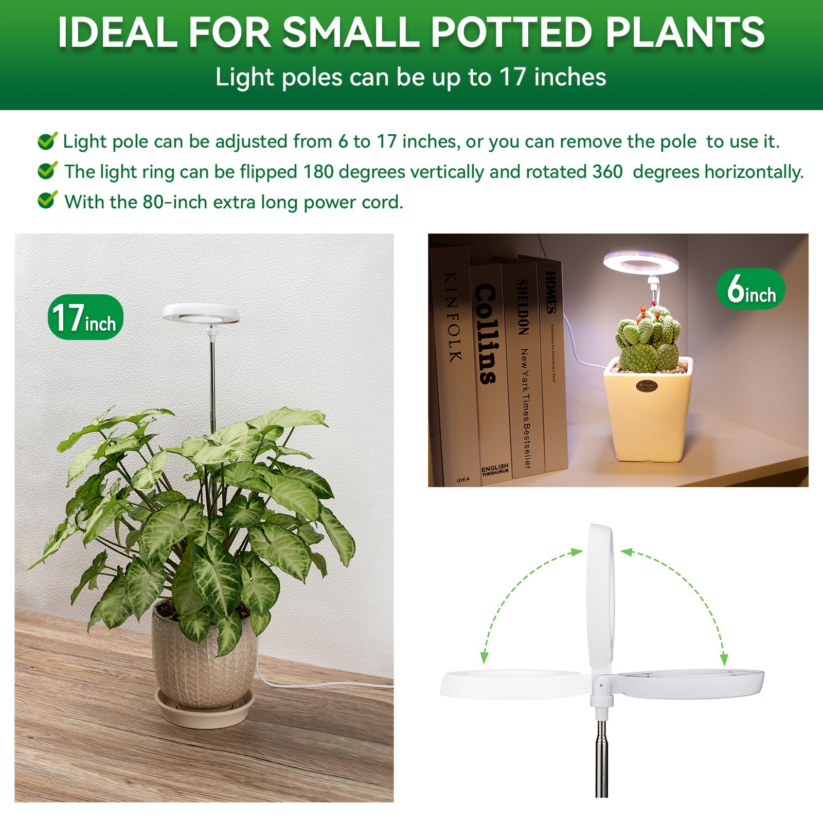 RODINTO grow light in use on a shelf boosting plant vibrancy indoors