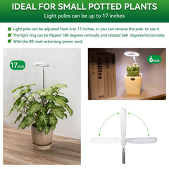 RODINTO grow light in use on a shelf boosting plant vibrancy indoors