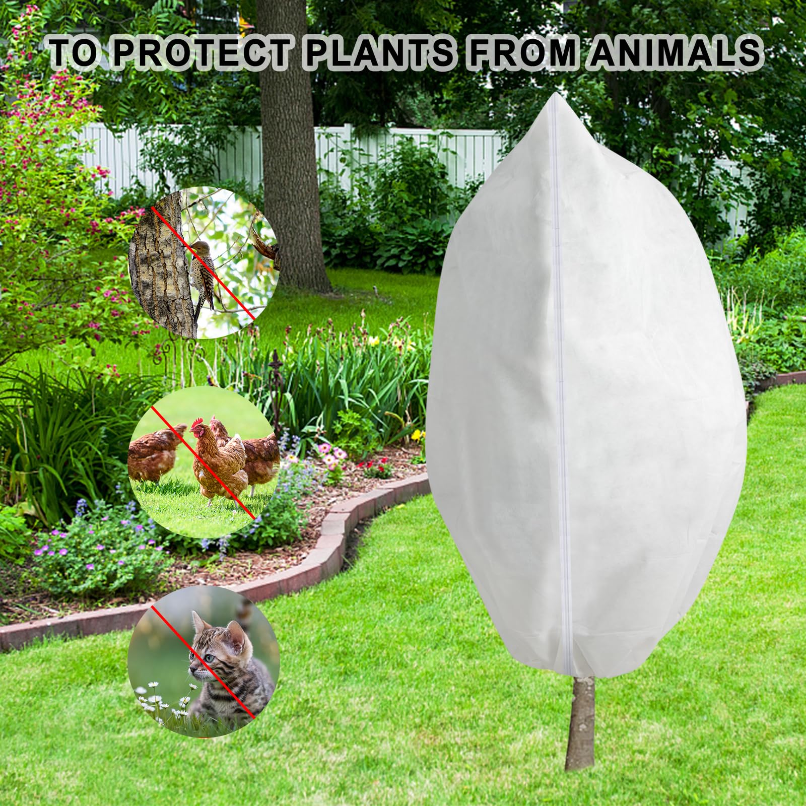 Rohuis wrapped shrub in snowy yard showing frost and wind protection benefit