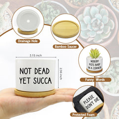 Rojuna close-up of printed text on ceramic pot highlighting clear durable printing