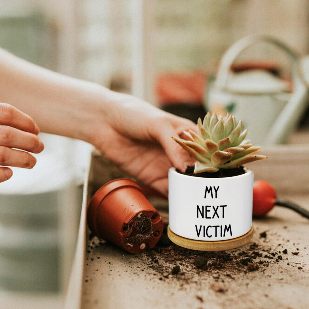 Rojuna pot planted with succulent on desk adding charm and small-space greenery