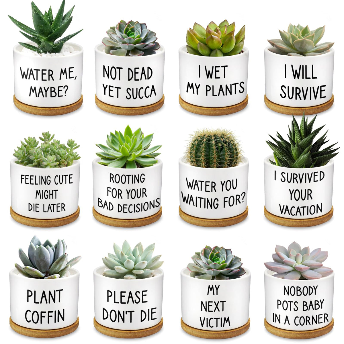 Rojuna white ceramic set front display showing clean aesthetic and playful phrases