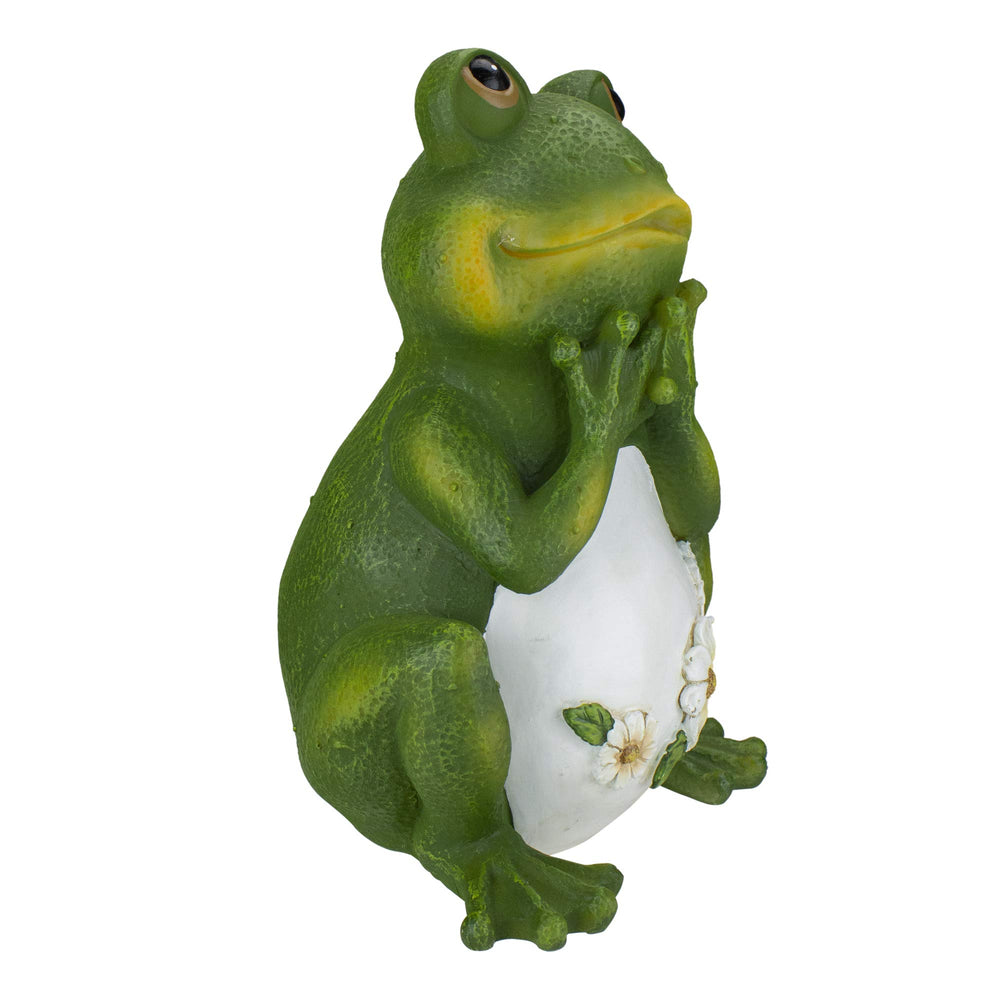 Roman frog in original box packaging ready for gifting or storage