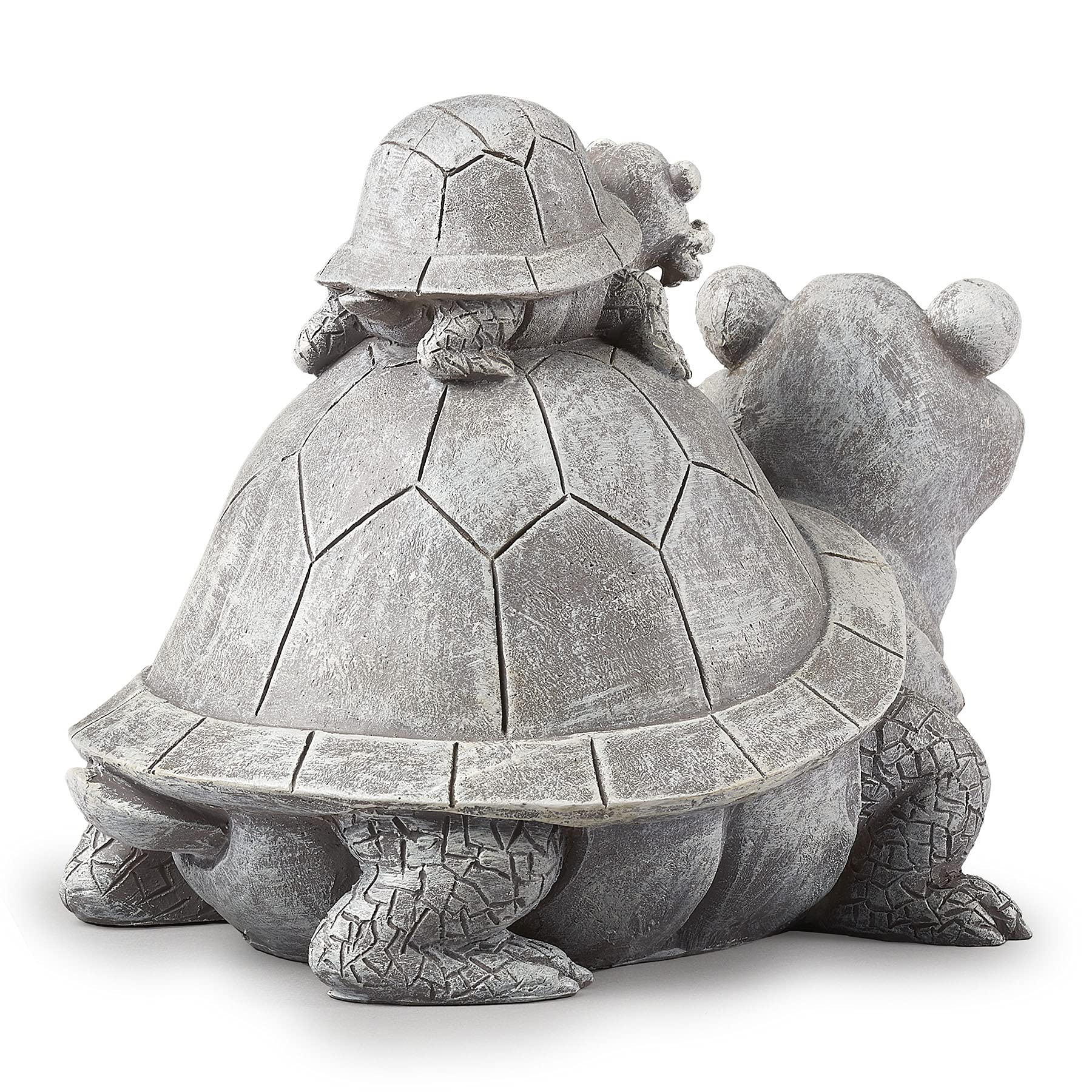 Roman Pudgy Pals turtle close-up texture showing durable resin and dolomite finish