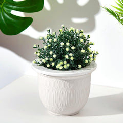 Romooa glaze close-up revealing dolomite texture and durable coating