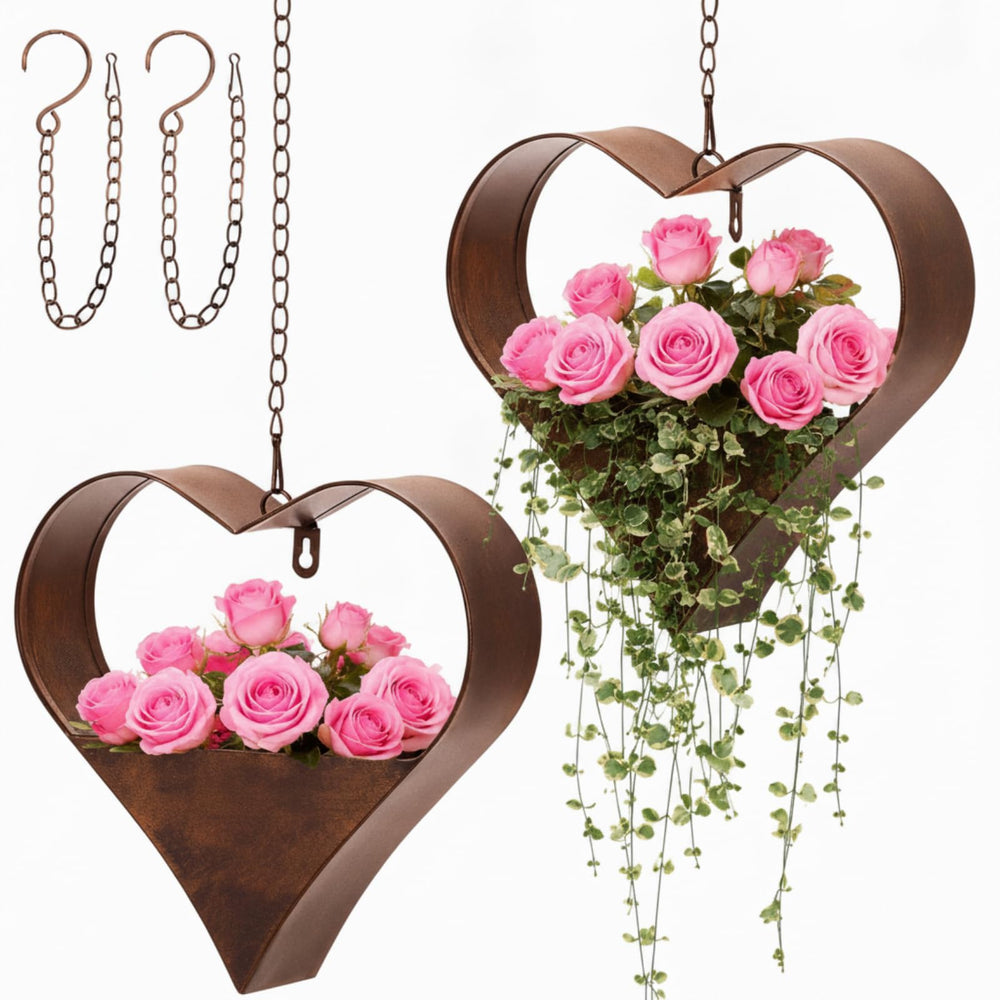 Romooa front view of two heart planters showing elegant hanging display benefit