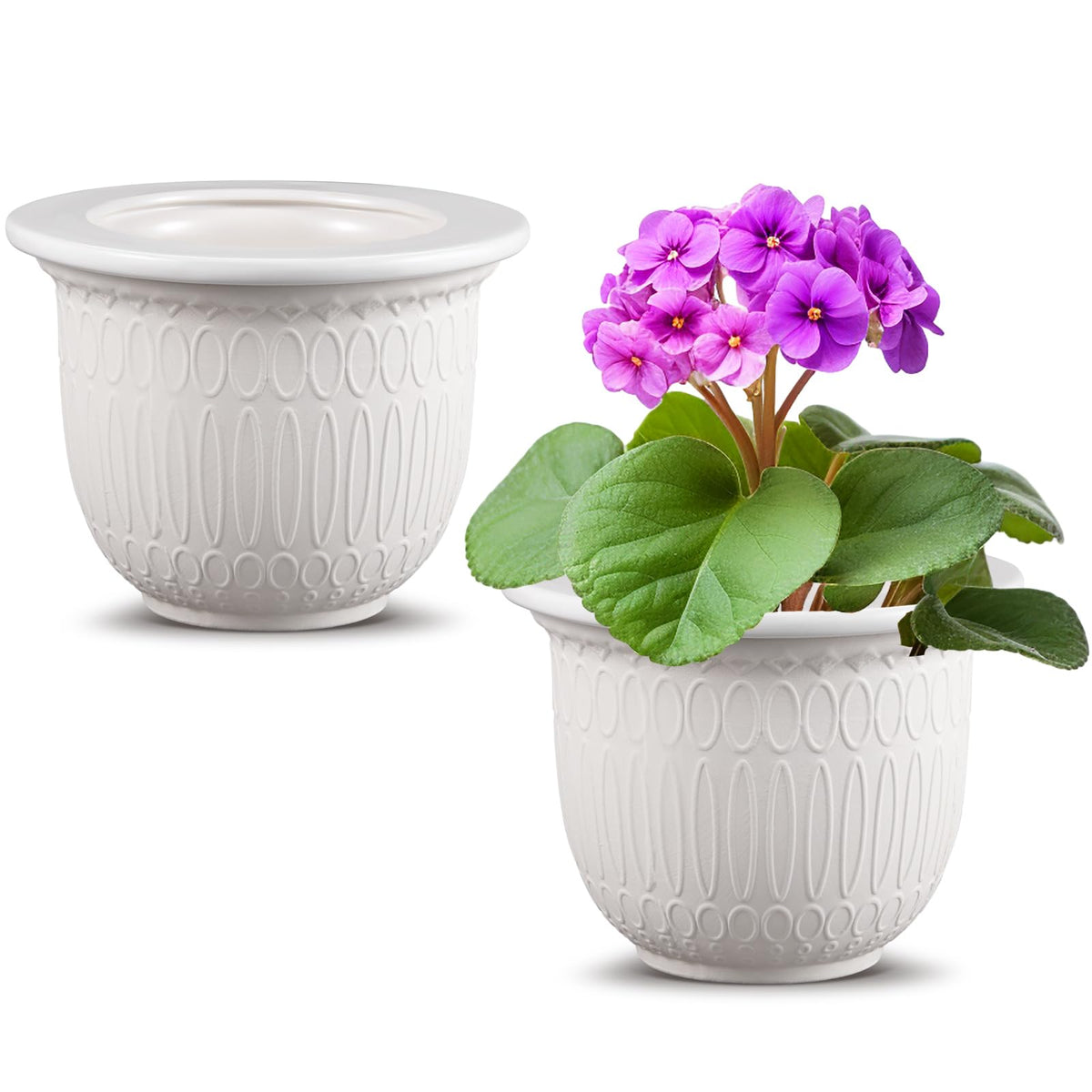 Romooa front view white ceramic pots showing elegant finish and stability