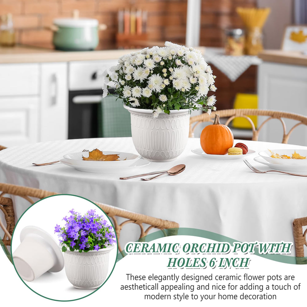 Romooa on windowsill lifestyle shot enhancing home decor and ease