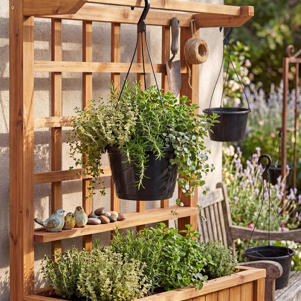 Romooa eight planters arranged in a garden setting to show cohesive styling