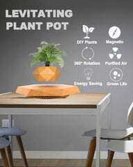 Ronsoile floating planter in use on desk, adding living decor benefit