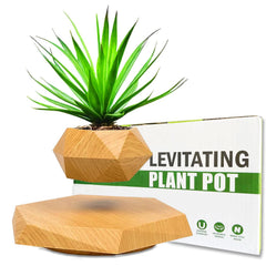 Ronsoile front view showing wooden levitating planter and sleek base, modern decor benefit