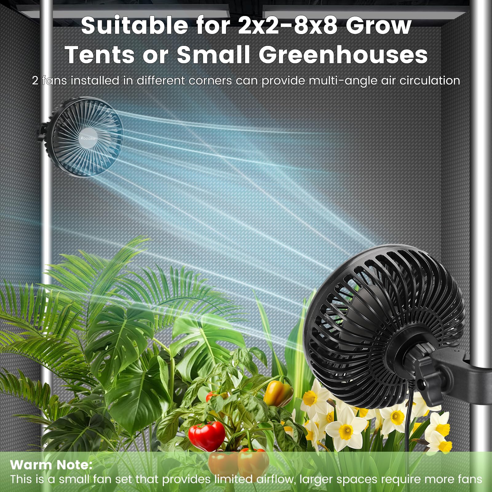Roodike fans mounted inside a grow tent on shelf creating cross-ventilation benefit