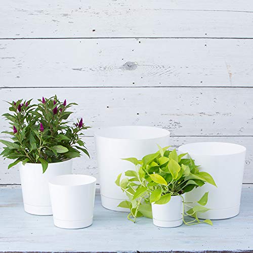 Root & Vessel pot next to chair demonstrating actual 14-inch size and portability