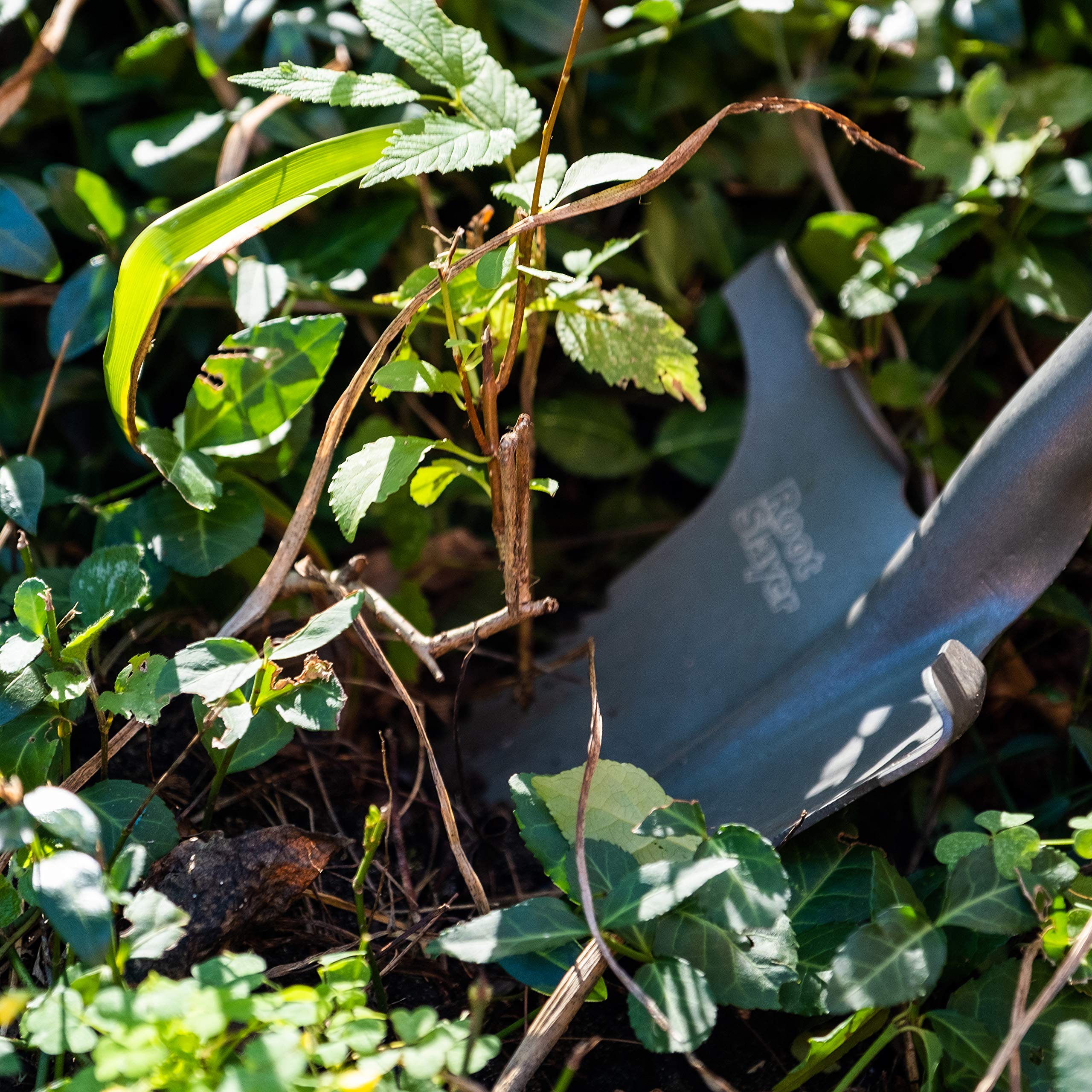 Root Slayer Nomad cutting through roots to make root removal faster