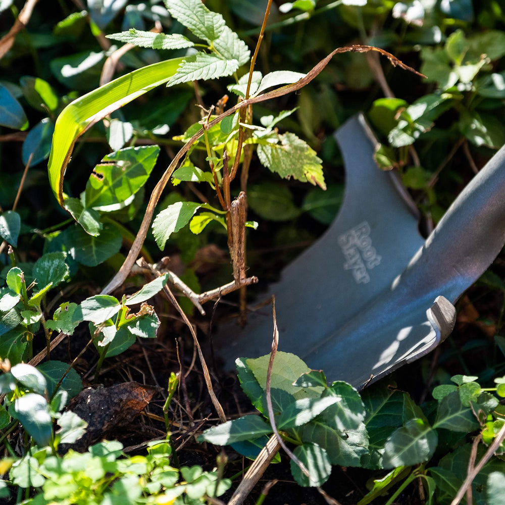 Root Slayer Nomad cutting through roots to make root removal faster