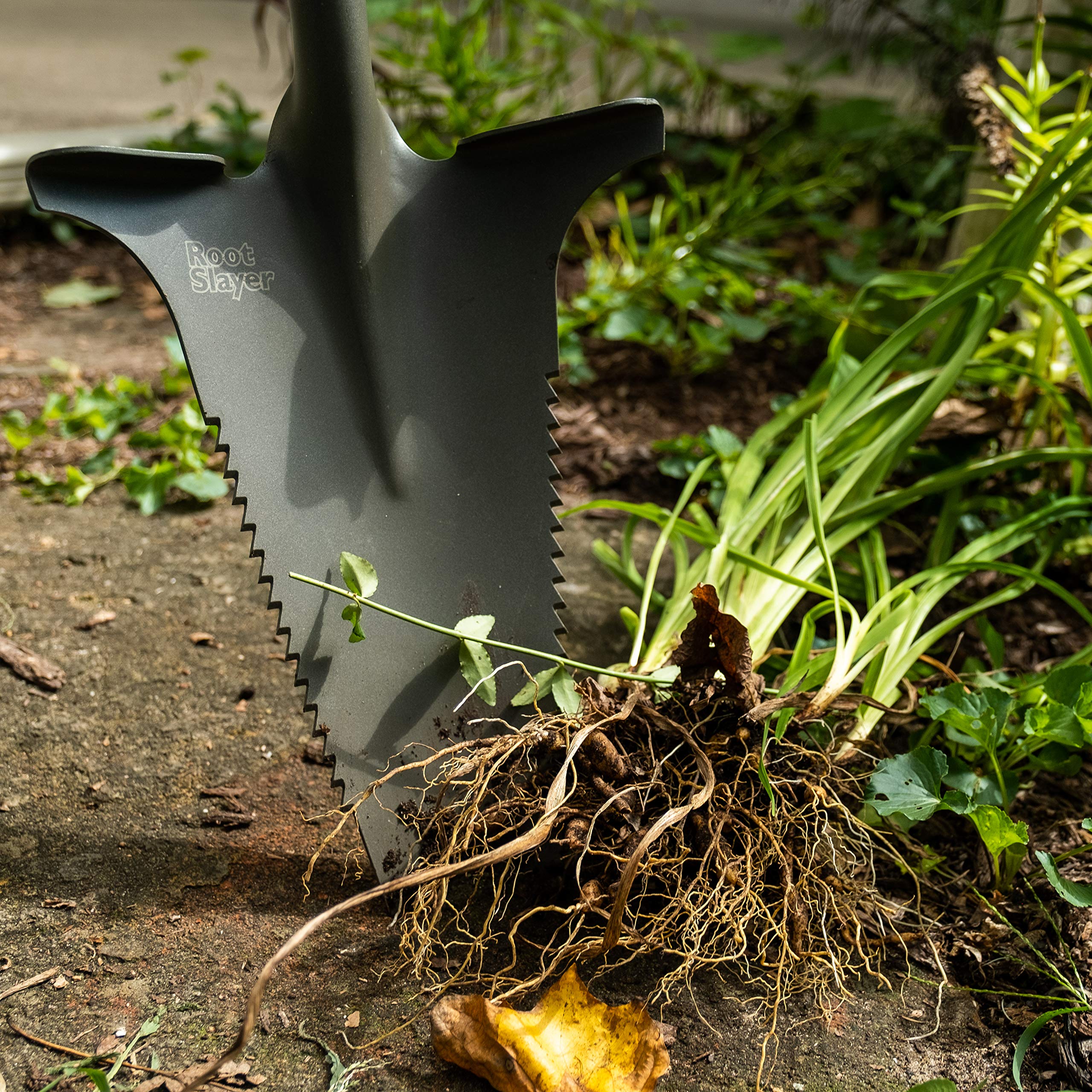 Root Slayer Nomad full-length beside a ruler showing compact 70% size advantage