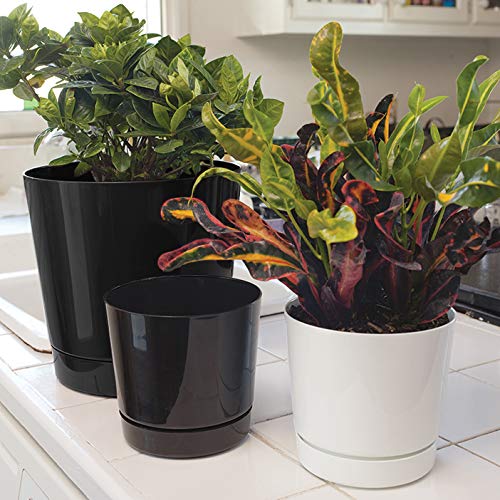 Root & Vessel glossy finish close-up highlighting durable, easy-clean surface