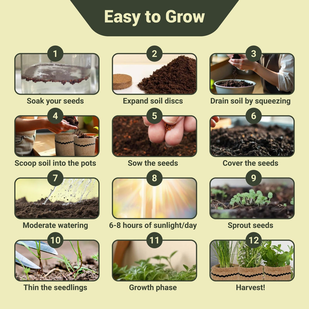 ROOTCRAFT expanded soil disc beside dry disc, ready-to-use nutrient mix
