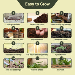 ROOTCRAFT expanded soil disc beside dry disc, ready-to-use nutrient mix