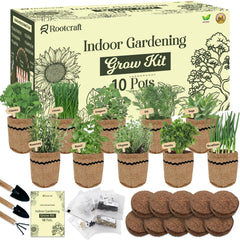 ROOTCRAFT front view of kit box and all 44 included pieces for easy setup