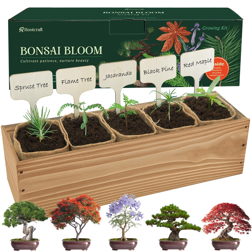 ROOTCRAFT front packaging showing complete bonsai starter kit and contents
