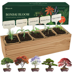 ROOTCRAFT front packaging showing complete bonsai starter kit and contents