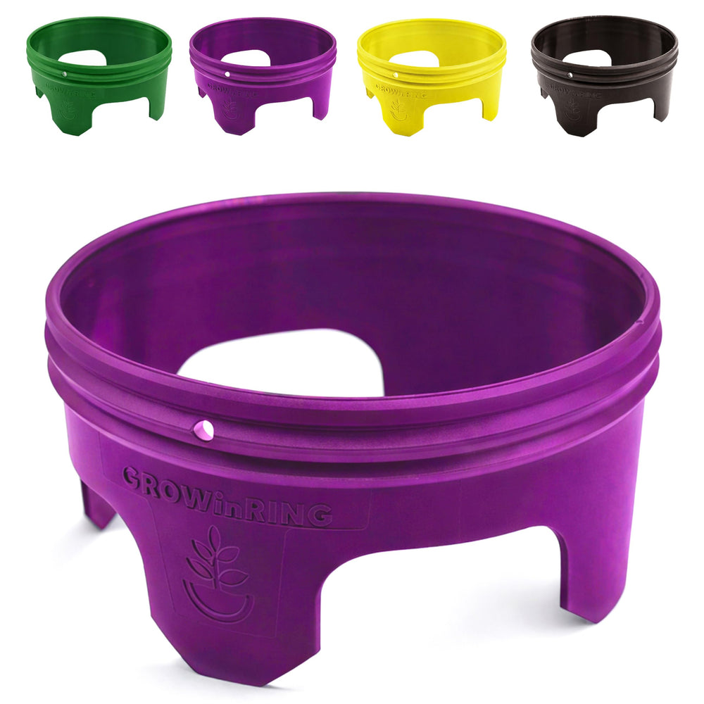 Rooted Promise front packaging showing six purple 7-inch rings and benefit of tidy planting