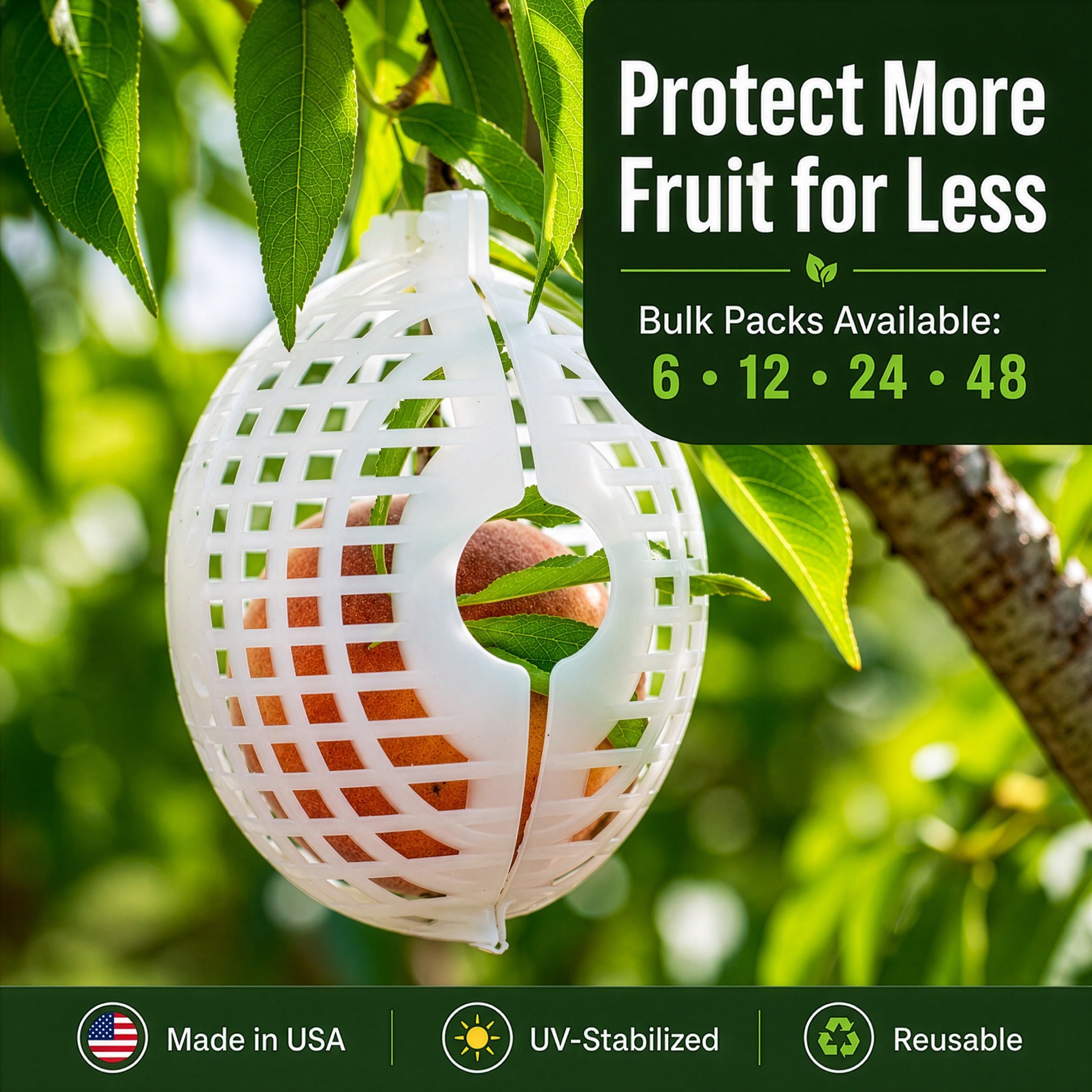 Rooted Promise cages in a backyard orchard demonstrating reusable protection