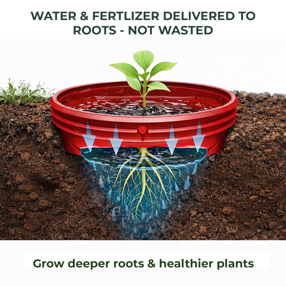 Rooted Promise ring fitted with 1/4" drip tubing showing irrigation compatibility