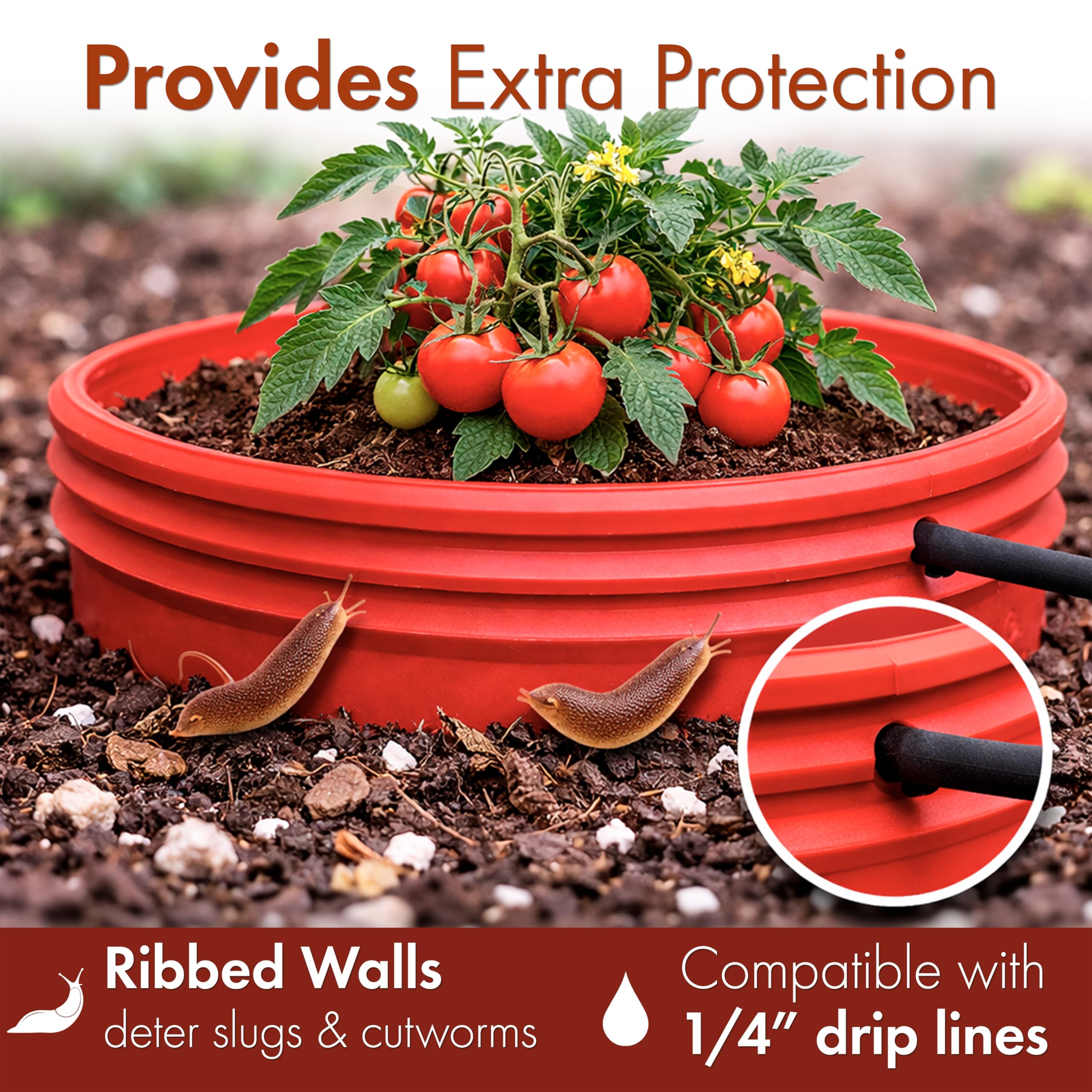 Rooted Promise ring held in hand demonstrating 7-inch scale and easy placement