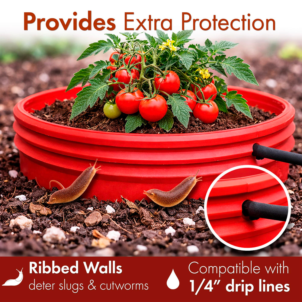 Rooted Promise ring held in hand demonstrating 7-inch scale and easy placement