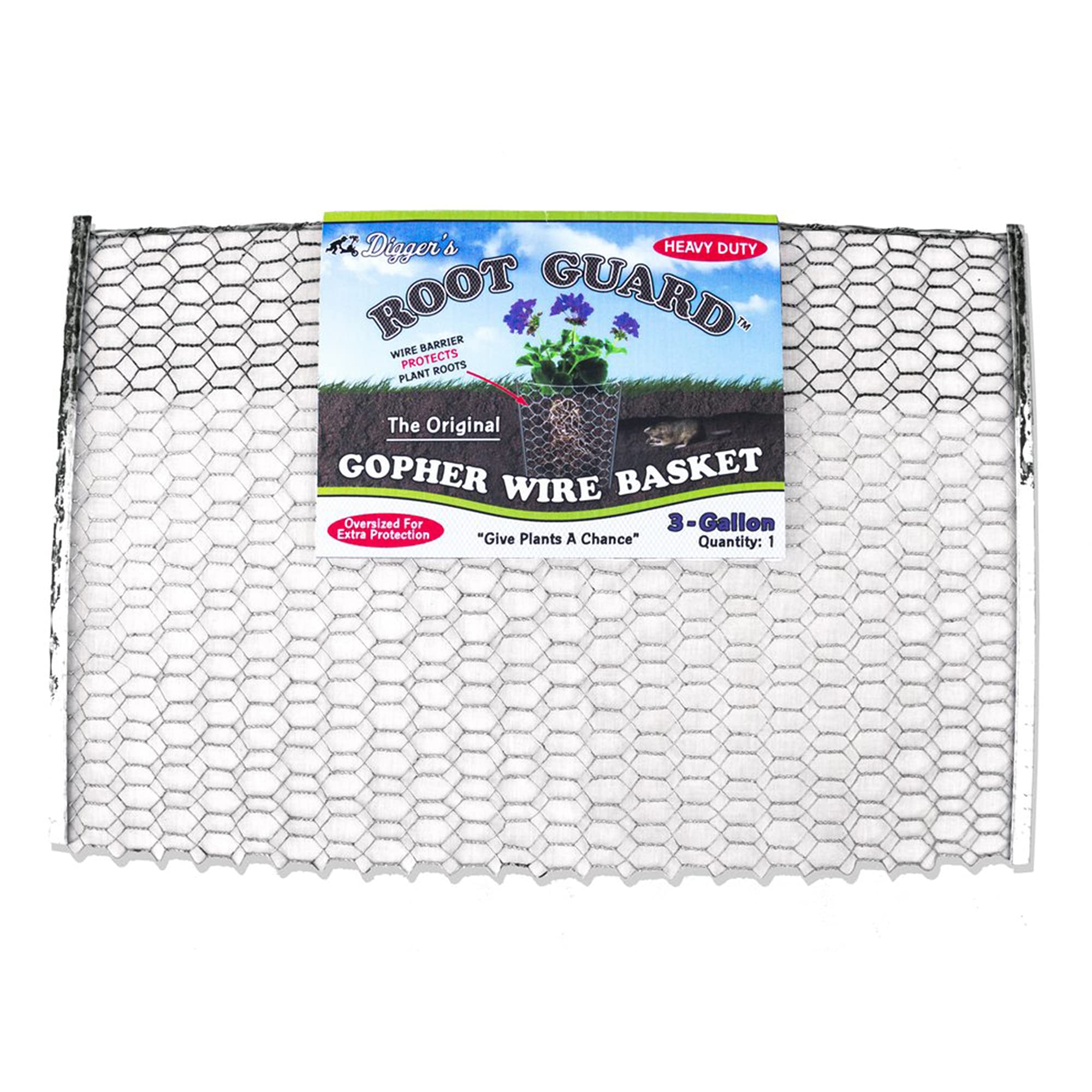 RootGuardTM front view of 12-pack baskets showing durable packaging and quantity benefit