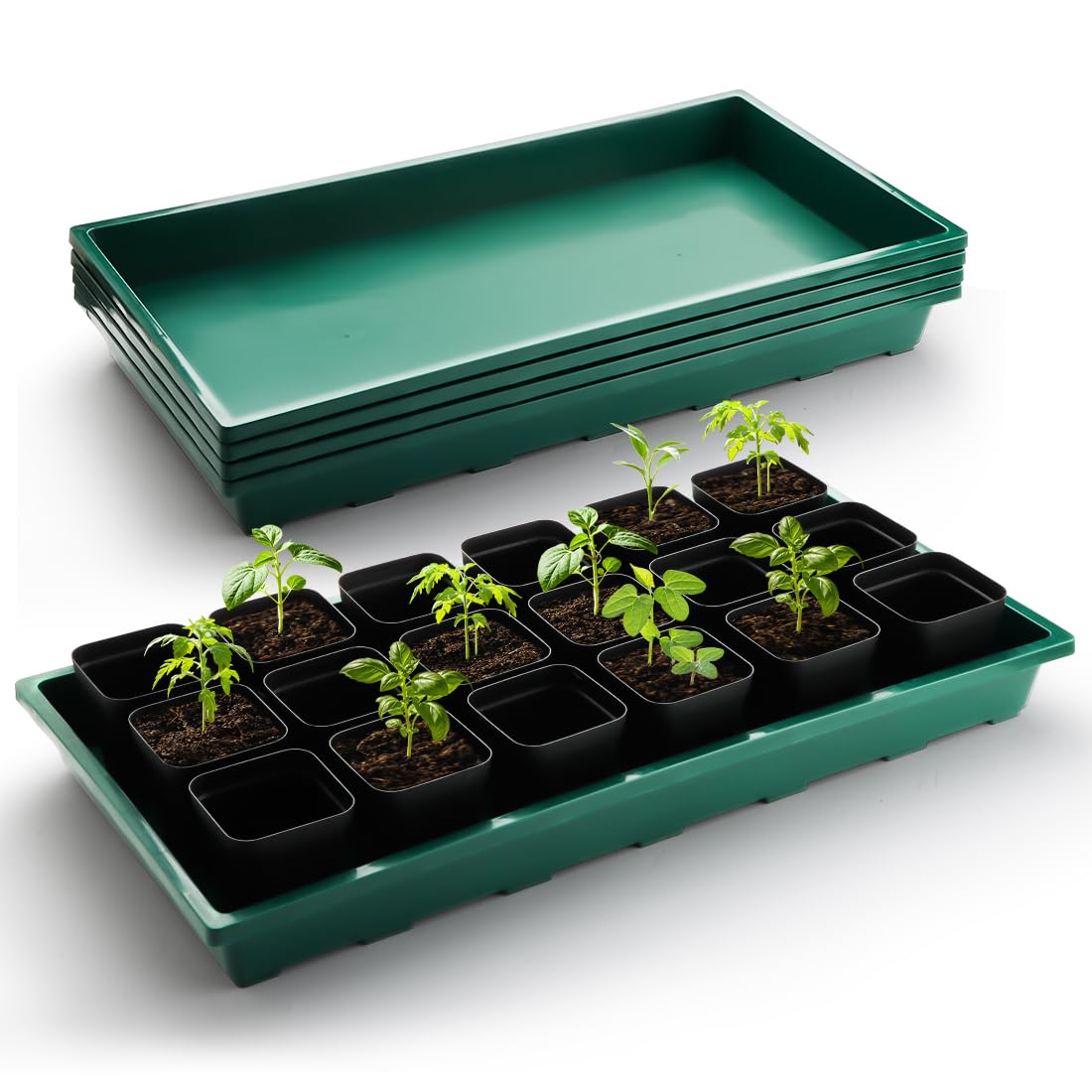 RooTrimmer front view green tray showing full flat surface and sturdy edge benefit containment