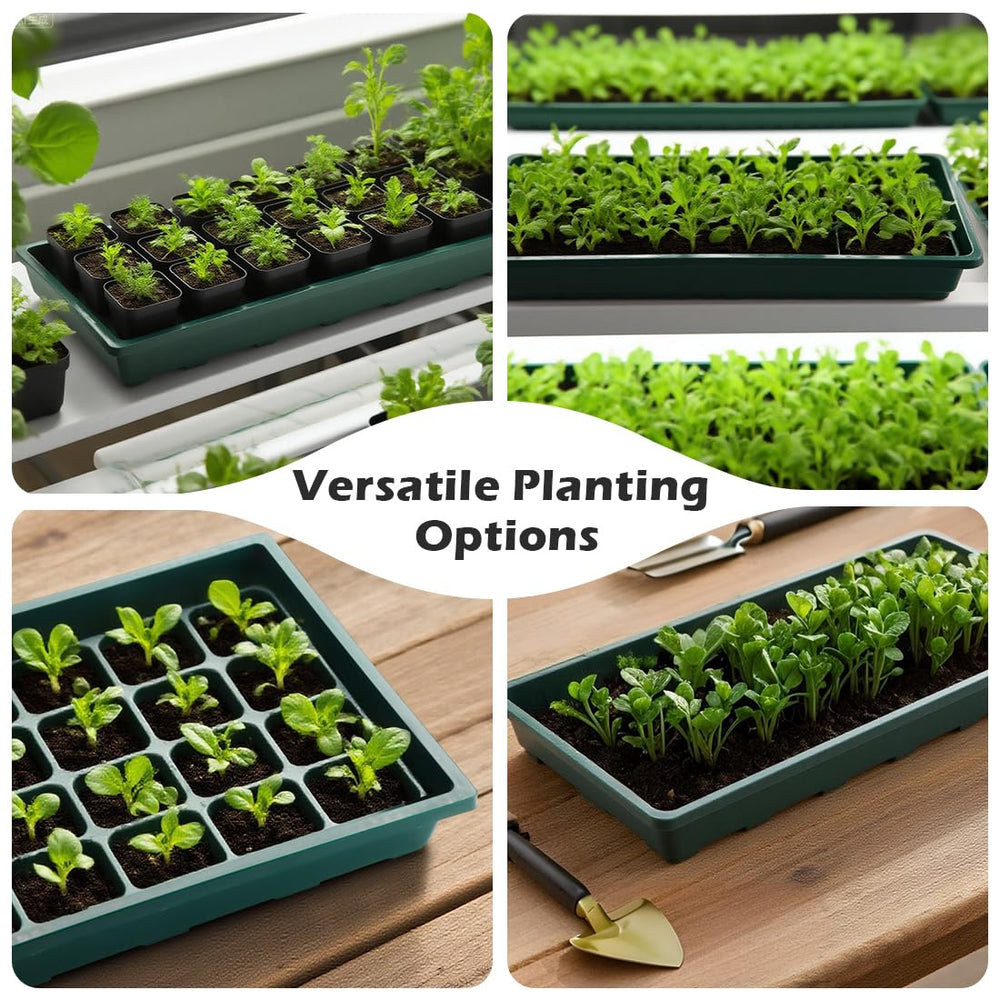RooTrimmer trays on greenhouse bench showing professional propagation setup benefit