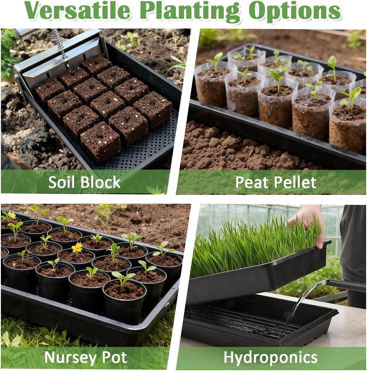 RooTrimmer microgreens in tray ready for harvest illustrating dense uniform growth