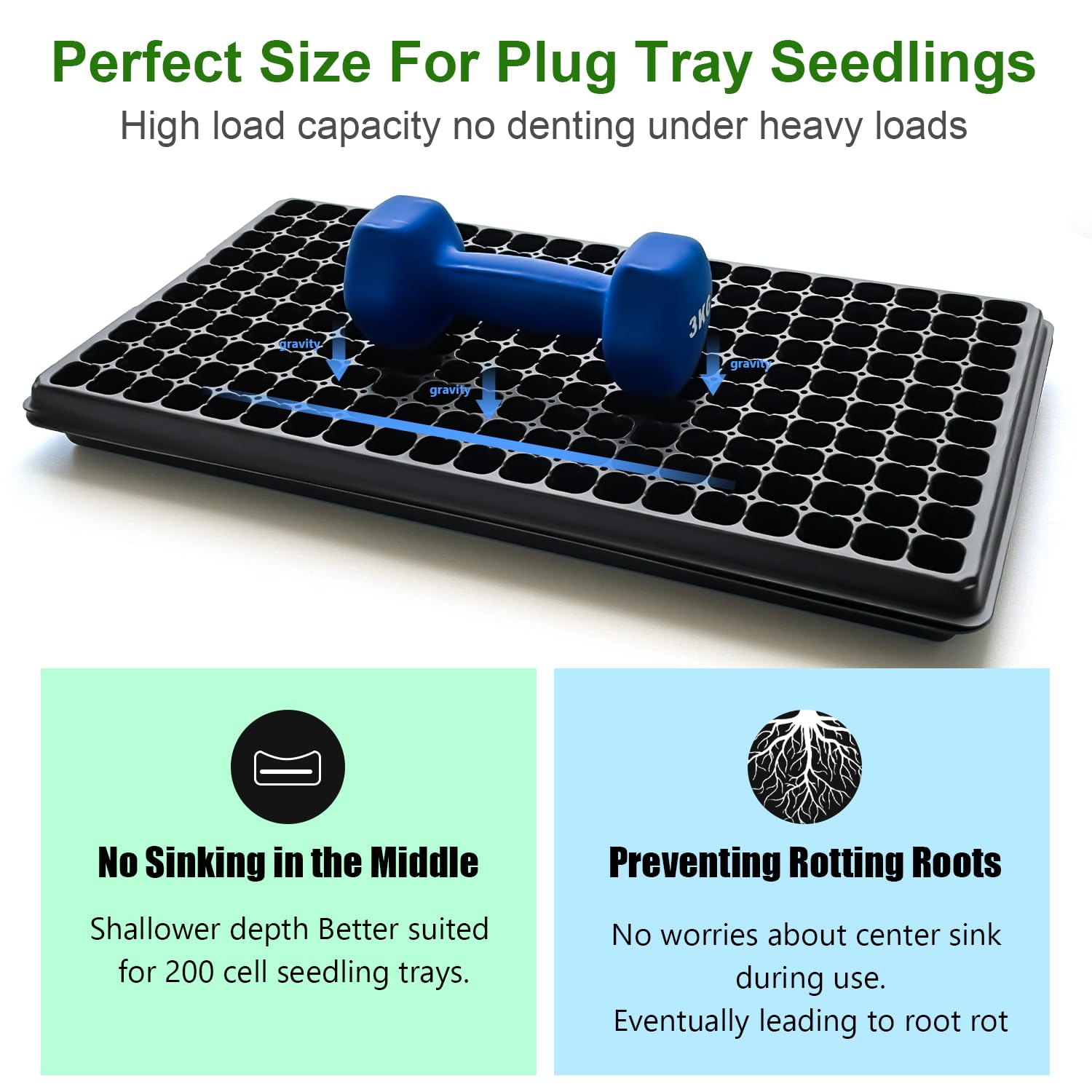 RooTrimmer tray beside ruler showing 1.3 inch depth for ideal shallow root zone