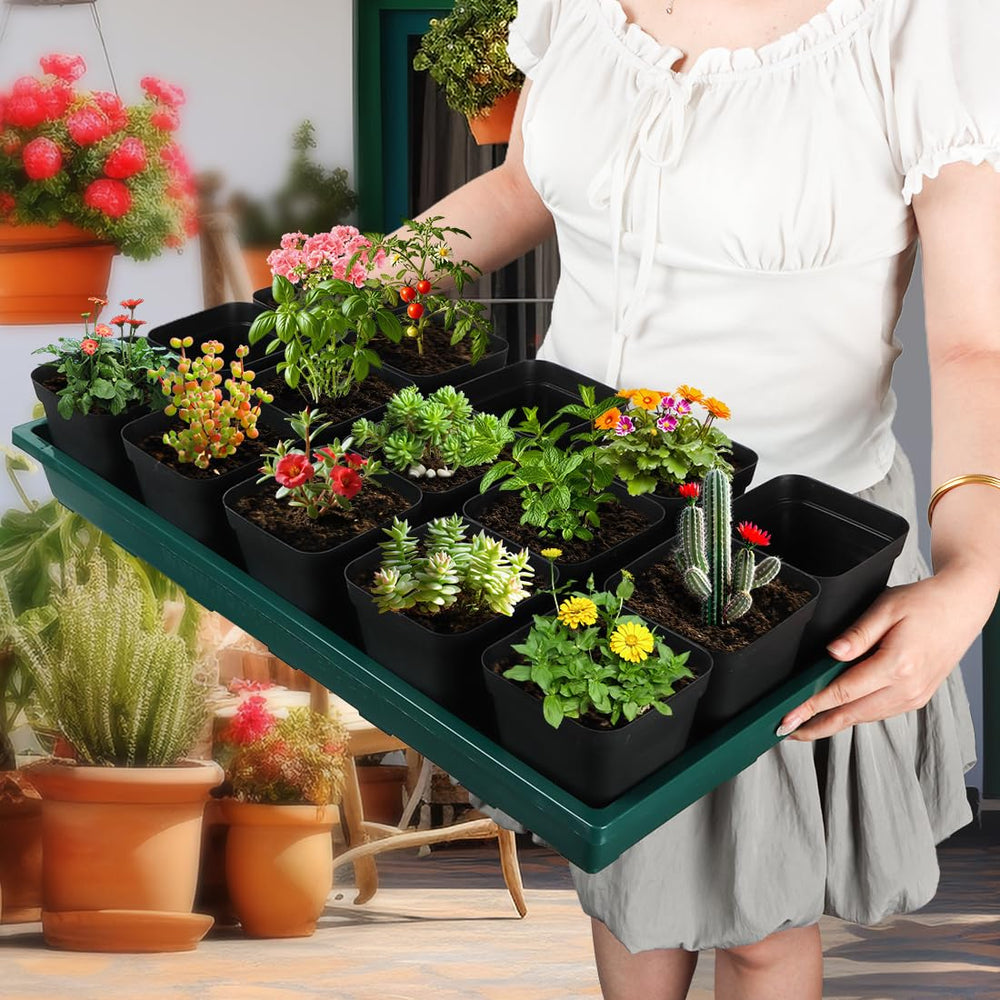 RooTrimmer transporting seedlings on tray showing leak-free movement and soil containment benefit