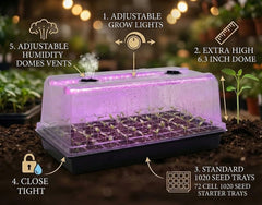 RooTrimmer top view of 72-cell plug tray highlighting uniform seed spacing