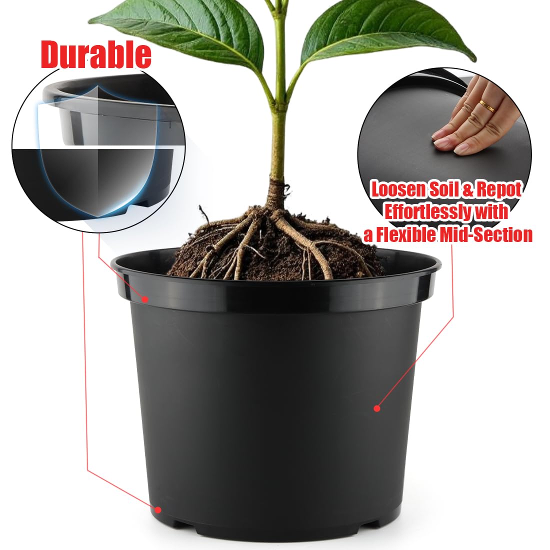RooTrimmer bottom drainage holes promoting proper water runoff and root health
