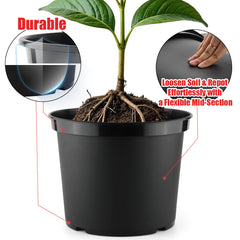 RooTrimmer bottom drainage holes promoting proper water runoff and root health