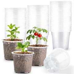 RooTrimmer clear pot front view showing full shape and benefit of root visibility
