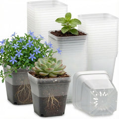 RooTrimmer clear square pot front view showing shape and space savings