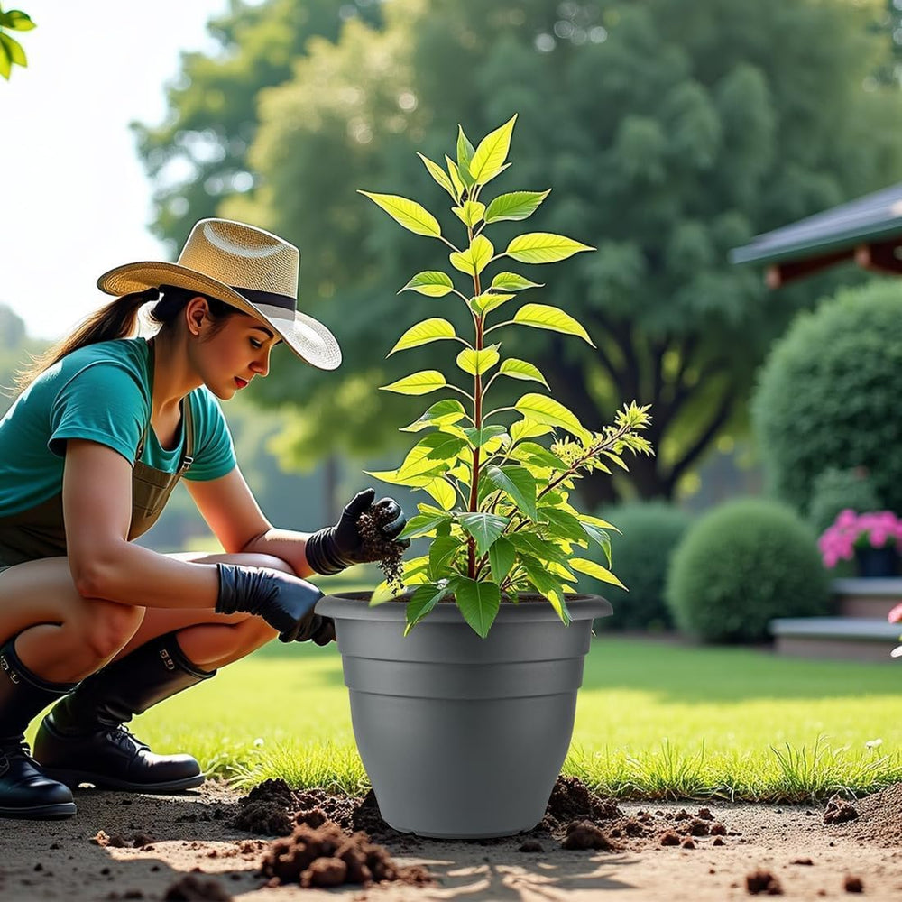 RooTrimmer tres macetas en jardín, crea composiciones coordinadas