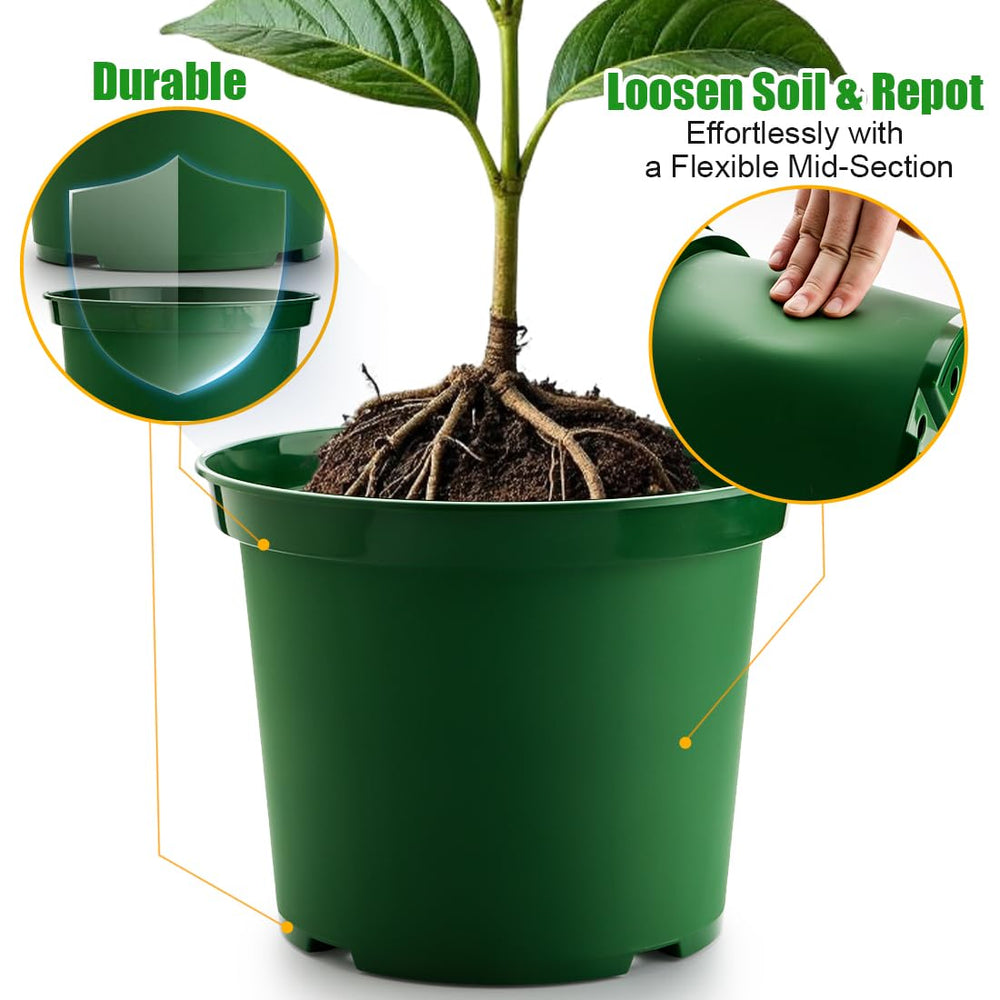 RooTrimmer underside showing drainage holes to prevent overwatering