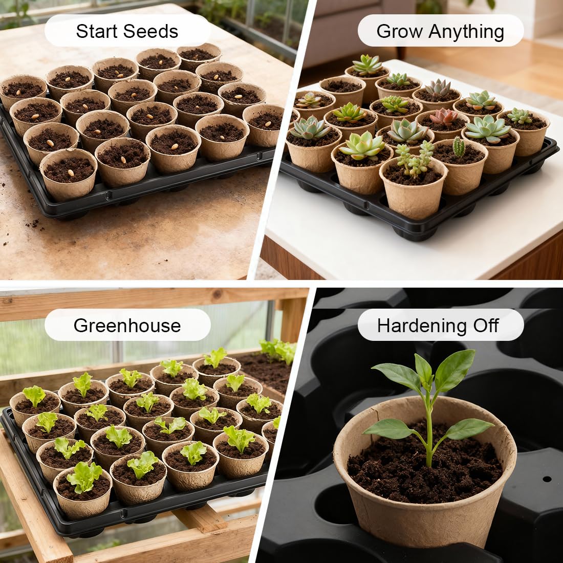 RooTrimmer kit en invernadero con manos plantando, facilita propagación organizada