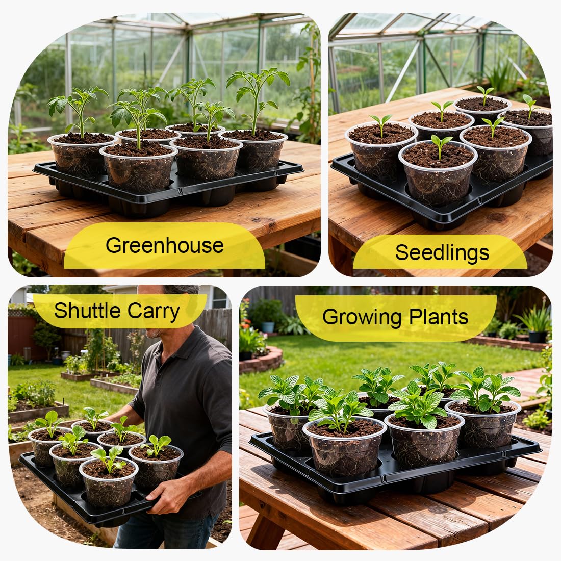 RooTrimmer etiqueta con instrucciones y beneficios para uso en vivero