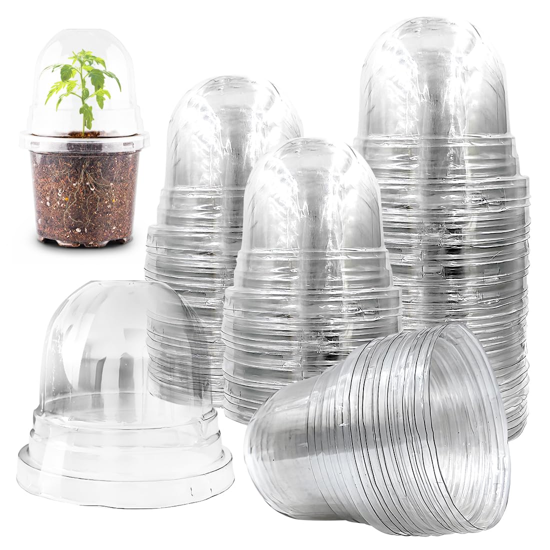 RooTrimmer front view of 100-pack clear domes showing quantity and packaging benefit